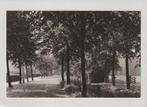 Woerden - Oude Landscheweg * 250829-03, Verzamelen, Ansichtkaarten | Nederland, Ophalen of Verzenden, 1960 tot 1980, Ongelopen