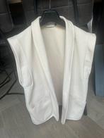 Gilet Costes, maat L/XL, nieuw!, Verzenden, Nieuw, Maat 46/48 (XL) of groter