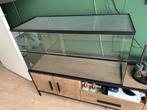 Glazen terrarium 100x40x50 cm, Dieren en Toebehoren, Knaagdieren en Konijnen | Hokken en Kooien, Kooi, Gebruikt, Hamster, 75 tot 110 cm