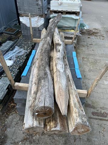 5 Robinia palen 18-20cm x 300cm beschikbaar voor biedingen