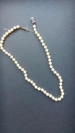 Te koop: Echte parelketting met zilveren slotje, Sieraden, Tassen en Uiterlijk, Kettingen, Ophalen, Gebruikt, Zilver