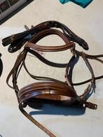 Cognac kleurig hoofdstel full, Dieren en Toebehoren, Paarden en Pony's | Hoofdstellen en Tuigage, Ophalen of Verzenden, Nieuw