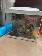 Compleet superfish aquarium, Ophalen, Zo goed als nieuw, Leeg aquarium