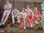 3 Posters van boyband One Direction, Ophalen of Verzenden, Zo goed als nieuw, Muziek