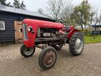 Massey Ferguson 821 Oldtimer Trekker, Ophalen of Verzenden
