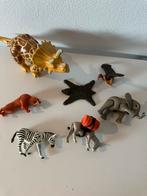 Playmobil roofvogel zebra olifant dieren, Kinderen en Baby's, Speelgoed | Playmobil, Verzenden, Zo goed als nieuw
