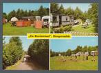Hoogersmilde (nabij Smilde en Appelscha) - De Reeënwissel, Verzenden, Gelopen, Drenthe