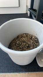 Gebruikt aquarium grind, Ophalen
