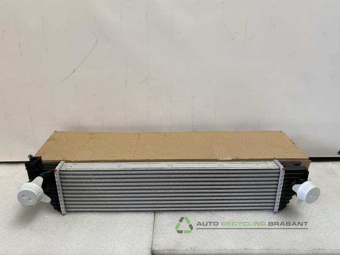 Intercooler van een Renault Master, Gebruikt, -, -, Ophalen of Verzenden