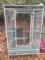 Papegaaienkooi, Ophalen of Verzenden, Metaal, Vogelkooi