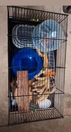 Hamster/muizen kooi met toebehoren (starterset), Dieren en Toebehoren, Kooi, Minder dan 75 cm, Hamster, Ophalen