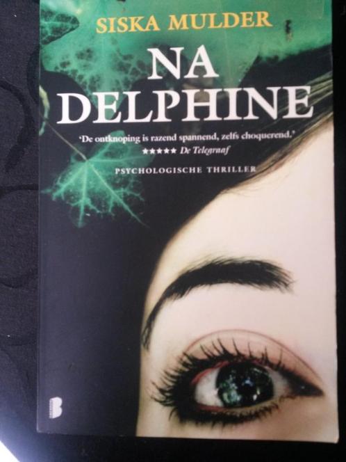 Boek na Delphine, Boeken, Thrillers, Zo goed als nieuw, Nederland, Ophalen of Verzenden