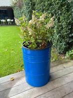 plantenbak, terras afscheiding, planetenbakken, bloembak, Tuin en Terras, Tuin, Minder dan 60 cm, Rond, Ophalen of Verzenden