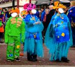 7x onderwater thema schilpad / maat 158 / carnaval loopgroep, Ophalen of Verzenden, Zo goed als nieuw, 158 t/m 164, Jongen of Meisje