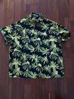 Carnaval Hawaï blouse - Maat XS, Ophalen of Verzenden, Zo goed als nieuw, Maat 46 (S) of kleiner