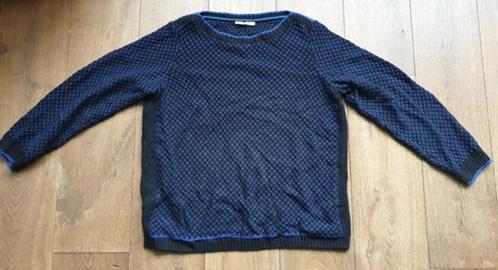 Zwart met Blauwe Trui Cecil (L), Kleding | Dames, Truien en Vesten, Gedragen, Maat 42/44 (L), Zwart, Ophalen of Verzenden
