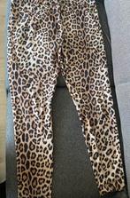 Prachtige broek met panterprint, Ophalen of Verzenden, Zo goed als nieuw, Maat 38/40 (M)
