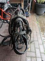 Cob enkelspan tuig, Dieren en Toebehoren, Paarden en Pony's | Hoofdstellen en Tuigage, Ophalen, Gebruikt, Overige soorten