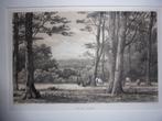 In de Lutte. Originele Getinte Litho Schipperus 1876, Ophalen of Verzenden