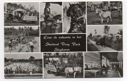 Slagharen Shetland Pony Park 1967, Ophalen, 1960 tot 1980, Gelopen, Overijssel