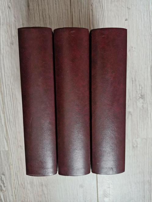 De Psalmen Davids C. H. Spurgeon 3 delen compleet, Boeken, Godsdienst en Theologie, Nieuw, Christendom | Protestants, Ophalen of Verzenden