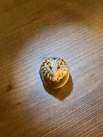 14K Gouden Leeuwenring - Maat 20, Sieraden, Tassen en Uiterlijk, 20 of groter, Heer, Ophalen of Verzenden, Zo goed als nieuw