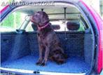 Bagage- & hondenrek 2x2-buizen metaal, Dieren en Toebehoren, Honden-accessoires, Ophalen of Verzenden, Nieuw