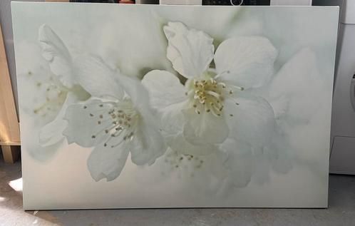 Nieuwstaat s hilderij t.e.a.b., Huis en Inrichting, Woonaccessoires | Schilderijen, Tekeningen en Foto's, Zo goed als nieuw, Schilderij