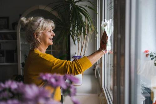 Gezocht hulp in de huishouding / schoonmaakster, Diensten en Vakmensen, Huishoudelijke hulp, Schoonmaken, Strijken, Wassen