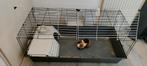 Cavia kooi and GRATIS wood filler, Dieren en Toebehoren, Knaagdieren en Konijnen | Hokken en Kooien, Minder dan 60 cm, Kooi, 110 cm of meer