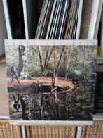 Peter Koelewijn - Diep Water LP in Goede Conditie, Ophalen of Verzenden