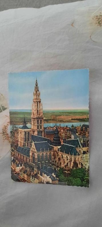 kaart Antwerpen - de Hoofdkerk - België beschikbaar voor biedingen