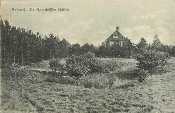 (300-424-009) Schoorl De Noordelijke Nollen beschikbaar voor biedingen