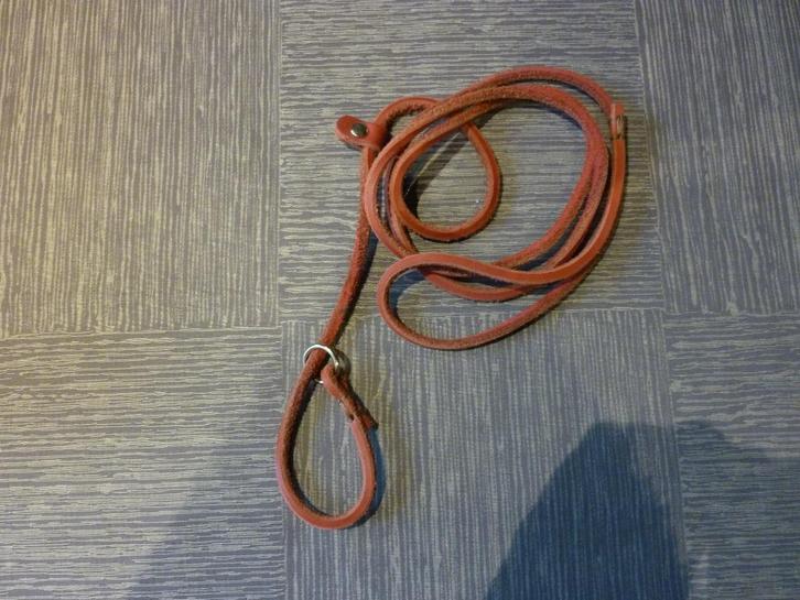 Hondenriem voor de kleine hond, verschillende modellen, Dieren en Toebehoren, Overige Dieren-accessoires, Nieuw, Ophalen of Verzenden