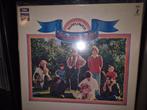 LP Beach Boys, Cd's en Dvd's, Vinyl | Pop, Verzenden, 1960 tot 1980, Gebruikt, 12 inch