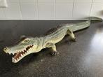 TE KOOP: KROKODIL, Verzamelen, Dierenverzamelingen, Ophalen, Gebruikt, Reptiel of Amfibie, Overige typen