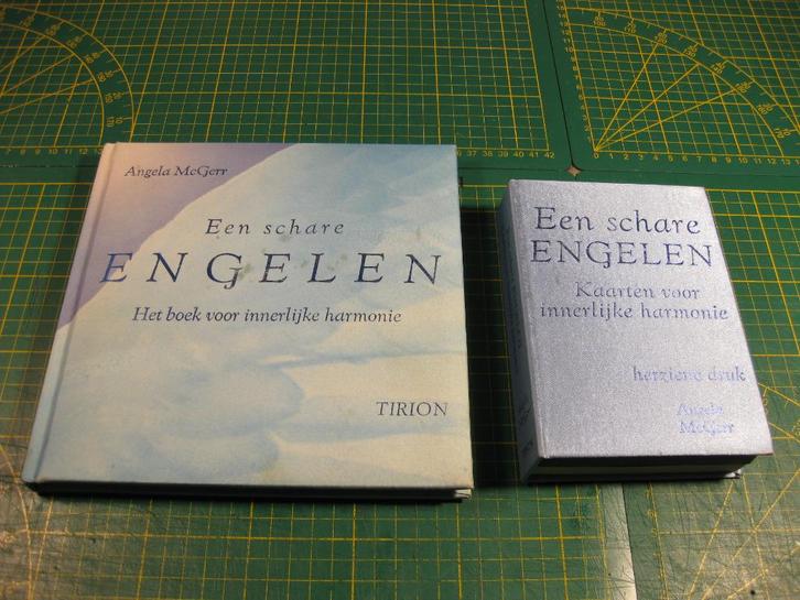 Angela McGerr, Een schare Engelen met boekje en kaarten, Boeken, Esoterie en Spiritualiteit, Gelezen, Overige typen, Tarot of Kaarten leggen
