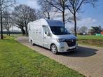 Renault Master Theault S3 paardenwagen hengsten uitvoering,, Dieren en Toebehoren, Paarden en Pony's | Trailers en Aanhangwagens