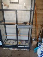 Grote beo pop met kooi, Dieren en Toebehoren, Vogels | Overige Vogels, Vrouwelijk