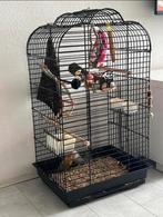Vogel kooi inc alles, Dieren en Toebehoren, Vogels | Hokken en Kooien, Ophalen of Verzenden, Zo goed als nieuw, Metaal, Vogelkooi