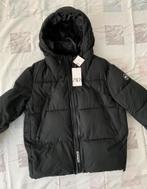 Nieuwe heren winter jas, Maat 52/54 (L), Zara, Zwart, Nieuw