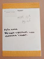 Gerard 't Hart - Originele Persfoto Jaren 80/90, Antiek en Kunst, Verzenden