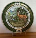 Hirsch am Waldesrand, door Conrad Franz 🦌🌲🌳🌲, Minder dan 50 cm, Ophalen of Verzenden, Zo goed als nieuw, Schilderij
