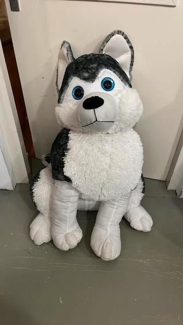 Husky Knuffel beschikbaar voor biedingen