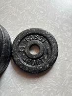 Fassi Sport 2kg/1kg Halterschijven, Ophalen of Verzenden, Gebruikt, Armen, Halterschijven