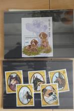 RF-19 : Motief zegels Honden  op 24 stockkaartjes/in envel., Verzenden, Buitenland