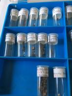 Kleine en micro fossielen uit Balegem (Belgie), Verzamelen, Mineralen en Fossielen, Ophalen of Verzenden, Fossiel