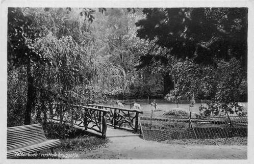 (301-136-041) Velsen Rustiek Bruggetje, Verzamelen, Ansichtkaarten | Nederland, Noord-Holland, Verzenden