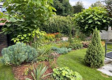 Ervaren Tuinman - Dedemsvaart, Hoogeveen, Ommen, Hardenberg beschikbaar voor biedingen