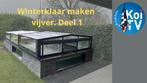 koi vijver winterklaar maken, Karper of Koi